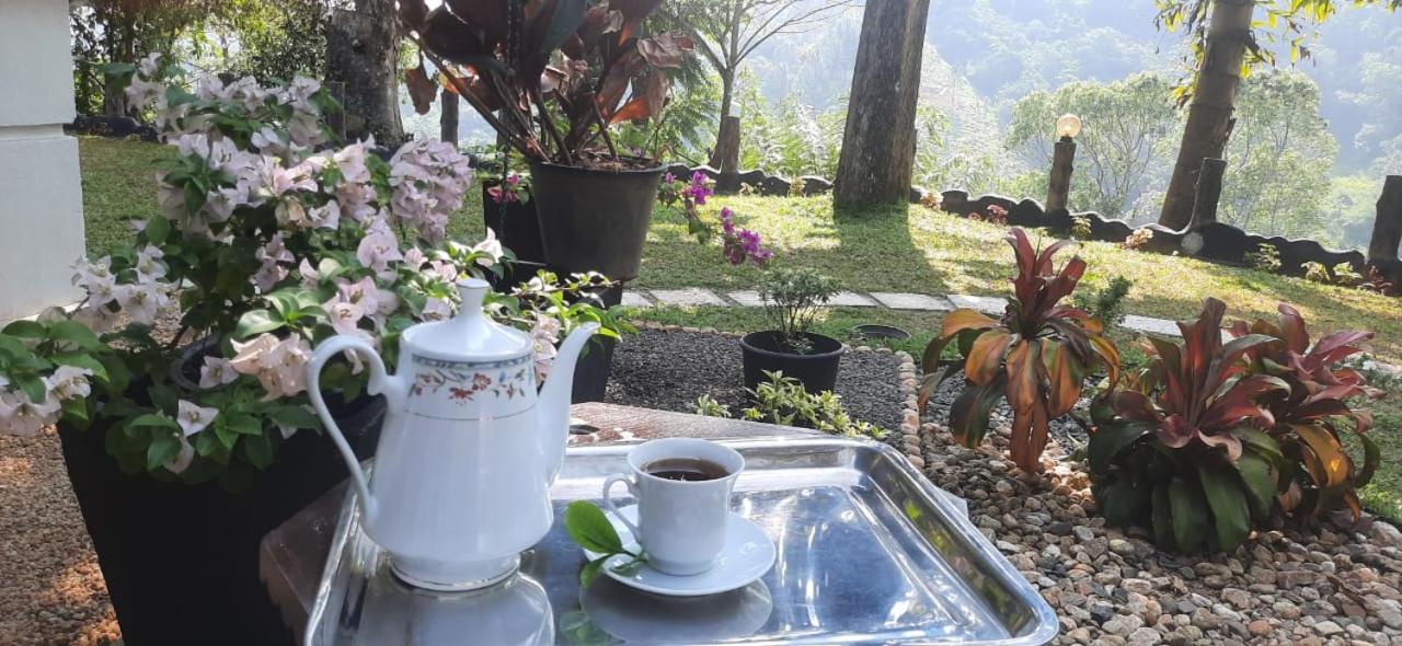 Ceylon Rich Leaves Ella Acomodação com café da manhã Exterior foto